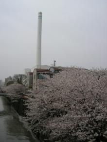 070401n6