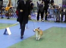 20060107_0