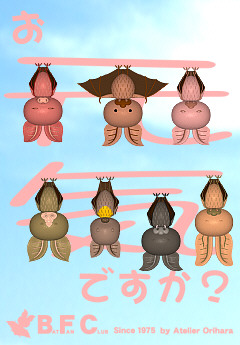 bfc-greet-blog