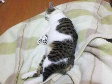 ｵｳ・・・