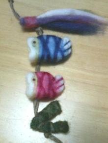 koi2