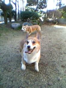 20060212_0