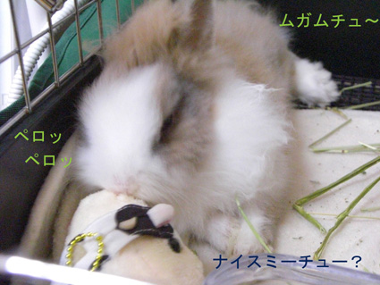 PUNKUNのきもち