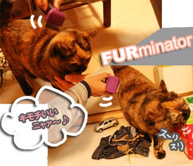 puuchiとAloha~♪な生活