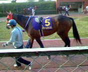 NEC_0255.jpg