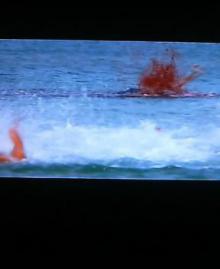 jaws