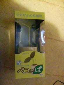 ペコッぱ全容