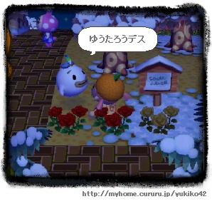 おべんと、できたよ♪