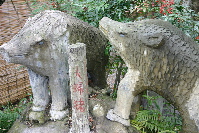イノシシ夫婦
