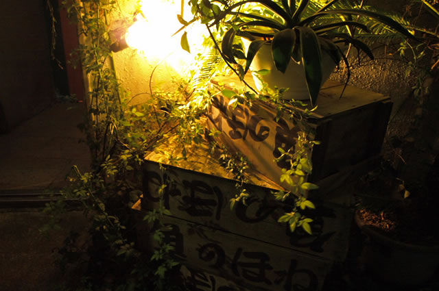 これがお店の看板がわり　魚のほね　（恵比寿）