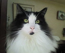 200802150927000.jpg