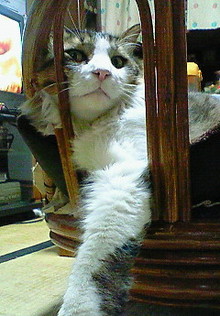 200712191723000.jpg