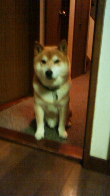 200806122309000.jpg