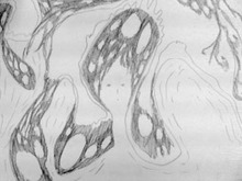 head