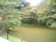 高台寺の池