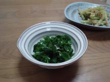 ひめうこぎ