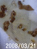 鍋の中の汚物