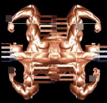 body8