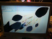 踏んじゃった