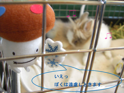 PUNKUNのきもち