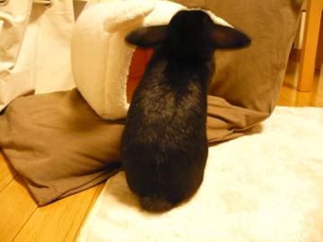 おれおにっき☆