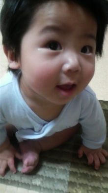 2008043009050000.jpg