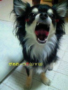 200806262005000.jpg
