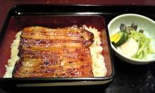 うなぎ割烹 大江戸