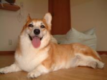 20050809