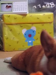 11+28☆コーギーライダーのblog-ぐったり