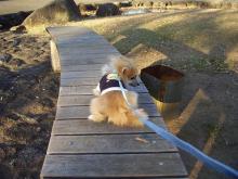 公園２