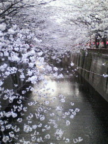 200803271639000.jpg