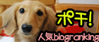 ランキング応援お願いします!