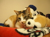 Photo Photo