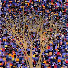 tomaselli - natural selection