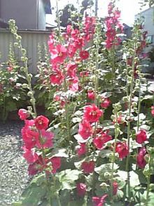 080601_145531.jpg