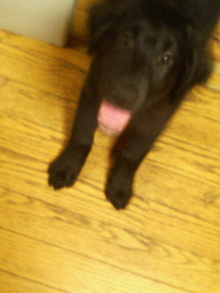200708151844000.jpg