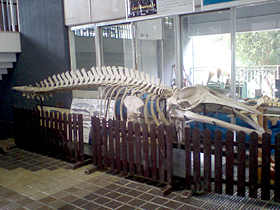 科学館02