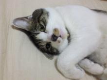 ねむ・・い・・