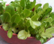 122023062008.jpg