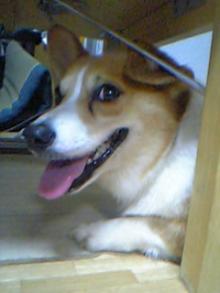 20060729