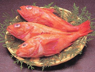 あるシングルパパの記録
