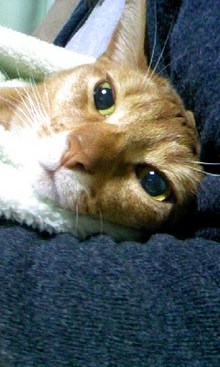 あじるび日記-090209_2005~01.jpg