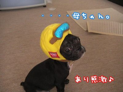 ライダー