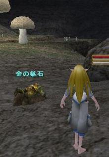 MoE ワラゲ観光