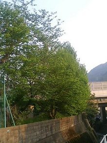 070426_0643~0001.jpg