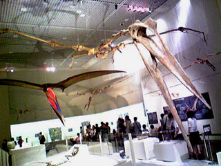翼竜展のケツァルコアトルス