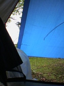 080524_1650~01.jpg