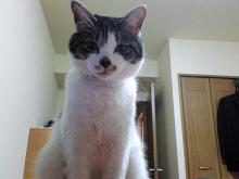 うちのｵﾔｼﾞがすいません