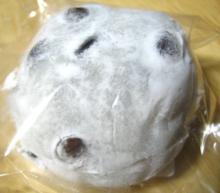 赤坂塩野・豆大福
